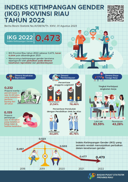 Indeks Ketimpangan Gender (IKG) Provinsi Riau Tahun 2022